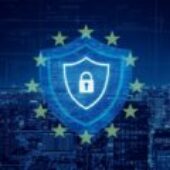 El rol de las autoridades de control y los profesionales de la privacidad frente a los desafíos actuales